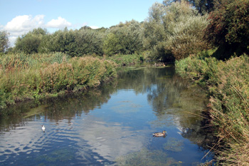 The River Lea at Leagrave Marsh September 2009